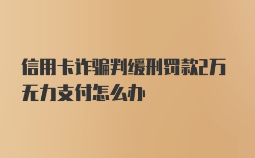 信用卡诈骗判缓刑罚款2万无力支付怎么办