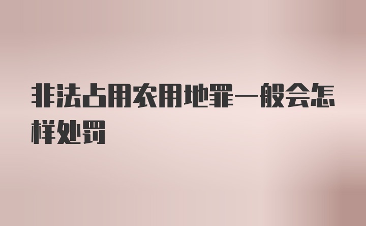 非法占用农用地罪一般会怎样处罚