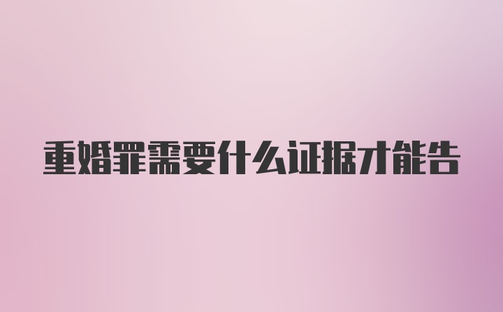 重婚罪需要什么证据才能告