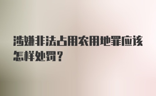 涉嫌非法占用农用地罪应该怎样处罚?