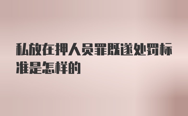 私放在押人员罪既遂处罚标准是怎样的