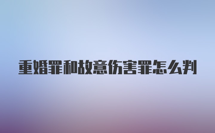 重婚罪和故意伤害罪怎么判