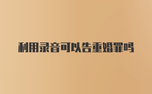 利用录音可以告重婚罪吗