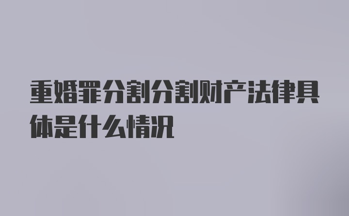 重婚罪分割分割财产法律具体是什么情况