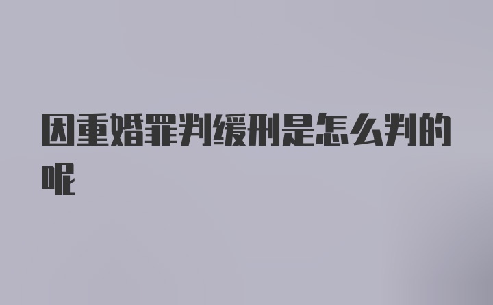 因重婚罪判缓刑是怎么判的呢