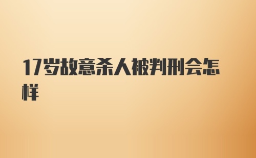 17岁故意杀人被判刑会怎样