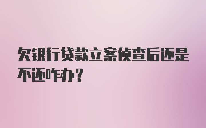 欠银行贷款立案侦查后还是不还咋办？