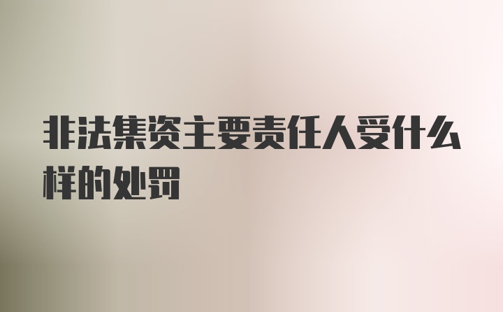 非法集资主要责任人受什么样的处罚