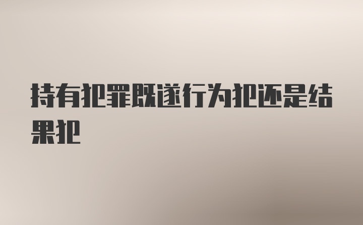 持有犯罪既遂行为犯还是结果犯