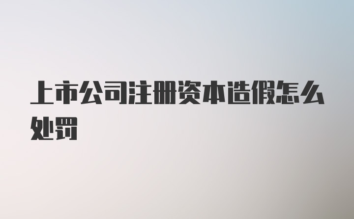 上市公司注册资本造假怎么处罚