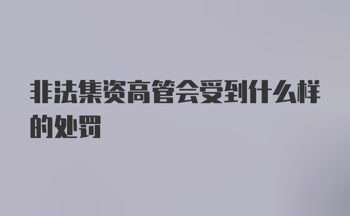 非法集资高管会受到什么样的处罚