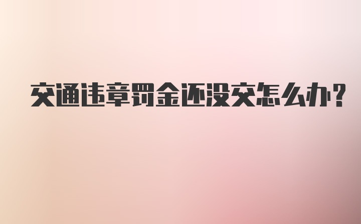 交通违章罚金还没交怎么办？