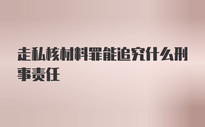 走私核材料罪能追究什么刑事责任