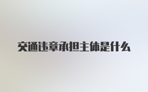 交通违章承担主体是什么