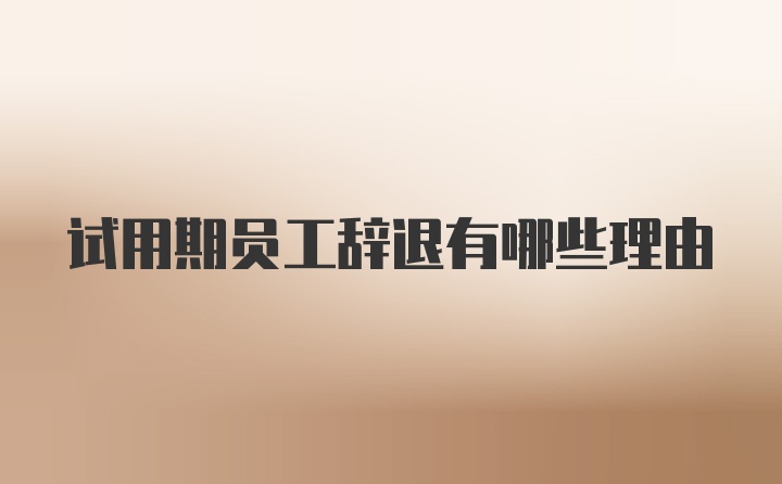 试用期员工辞退有哪些理由