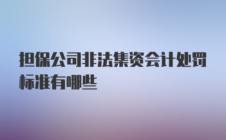 担保公司非法集资会计处罚标准有哪些