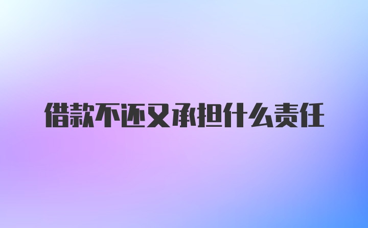 借款不还又承担什么责任