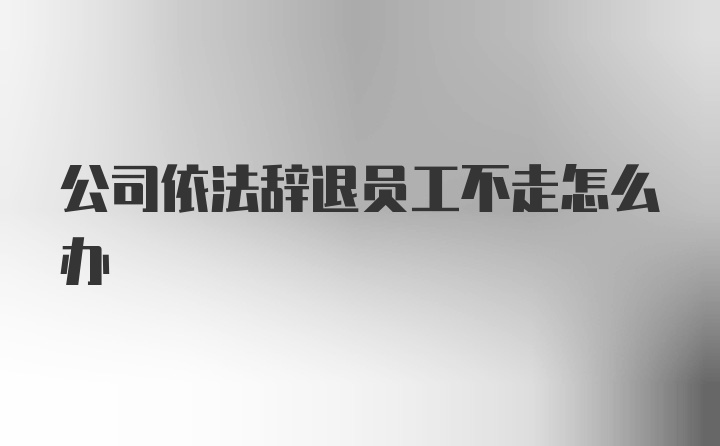 公司依法辞退员工不走怎么办