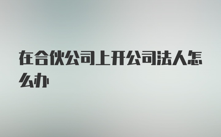 在合伙公司上开公司法人怎么办