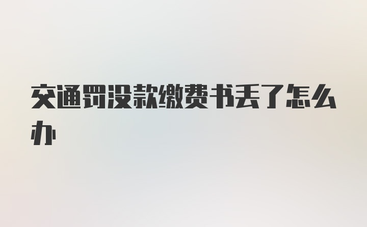 交通罚没款缴费书丢了怎么办