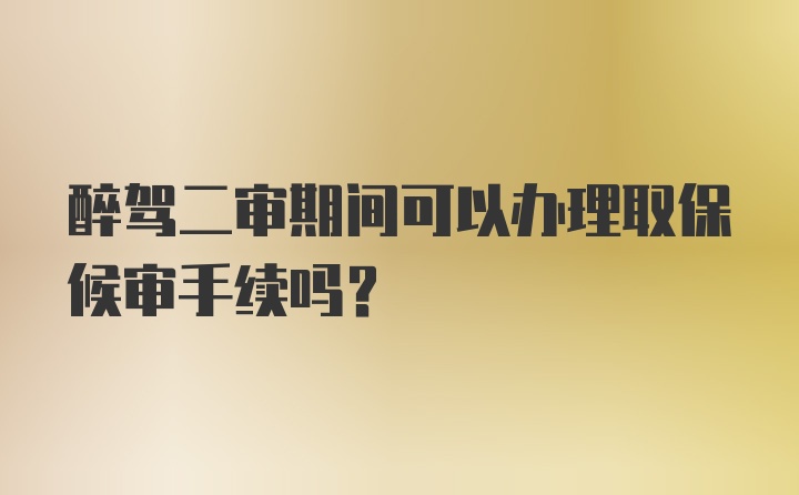 醉驾二审期间可以办理取保候审手续吗？