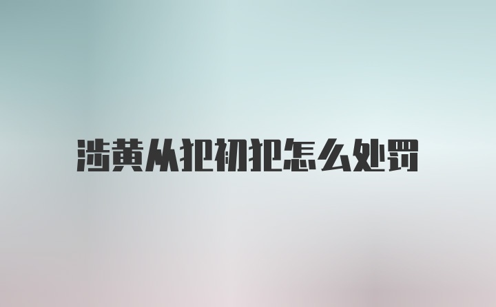 涉黄从犯初犯怎么处罚