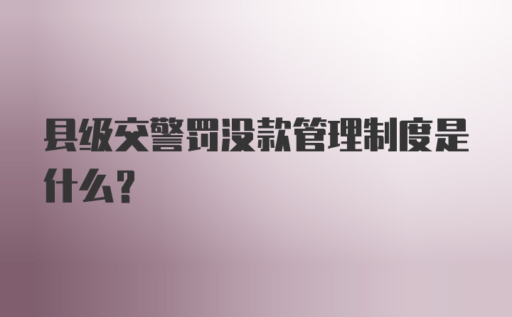 县级交警罚没款管理制度是什么？