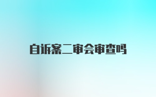 自诉案二审会审查吗