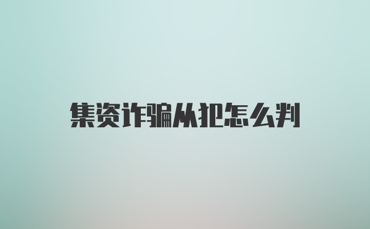 集资诈骗从犯怎么判