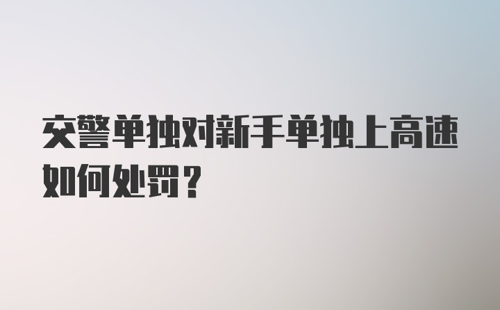 交警单独对新手单独上高速如何处罚？