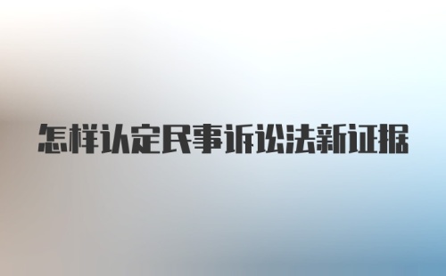 怎样认定民事诉讼法新证据