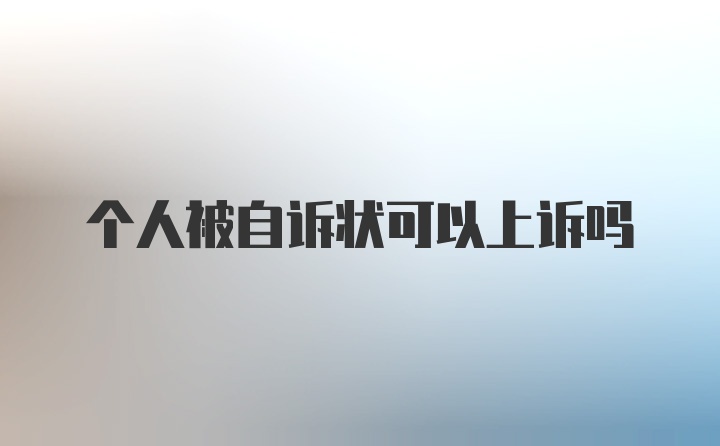 个人被自诉状可以上诉吗