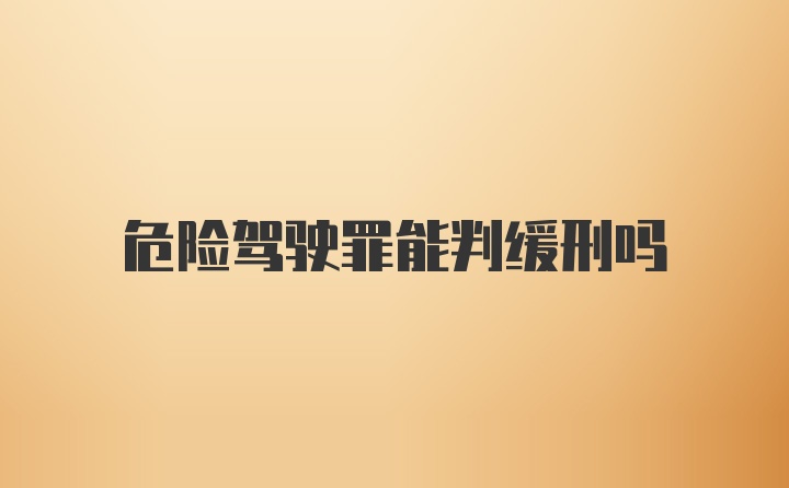 危险驾驶罪能判缓刑吗