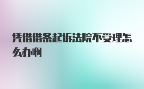 凭借借条起诉法院不受理怎么办啊