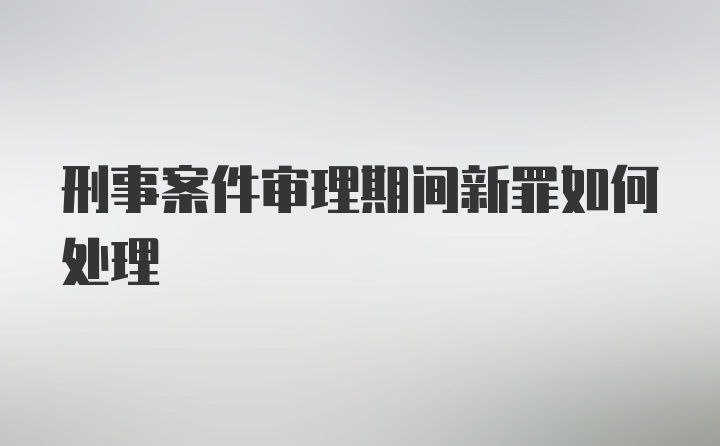 刑事案件审理期间新罪如何处理