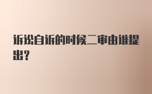 诉讼自诉的时候二审由谁提出？