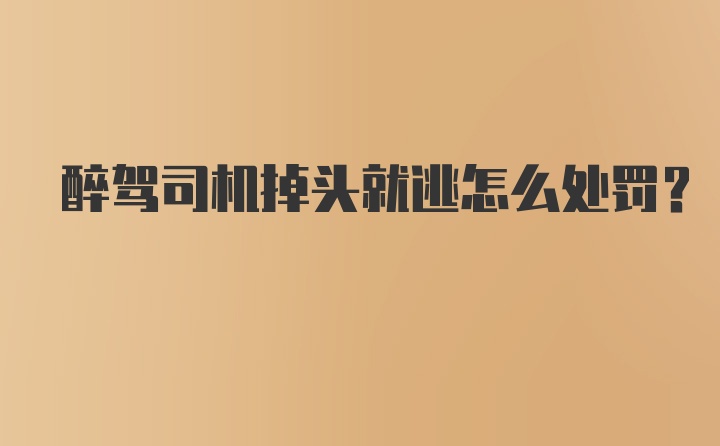 醉驾司机掉头就逃怎么处罚?