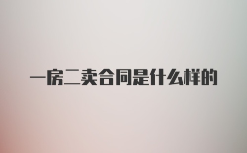 一房二卖合同是什么样的