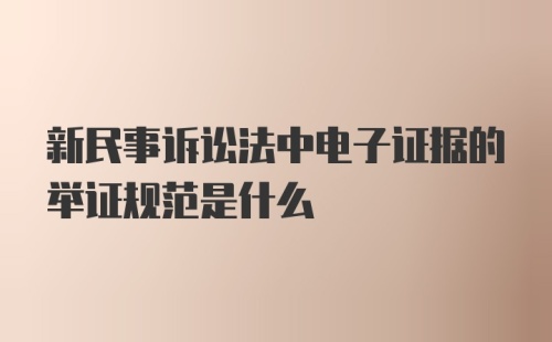 新民事诉讼法中电子证据的举证规范是什么