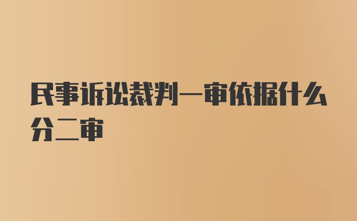 民事诉讼裁判一审依据什么分二审