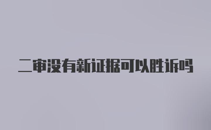 二审没有新证据可以胜诉吗