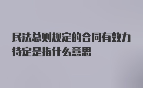 民法总则规定的合同有效力待定是指什么意思