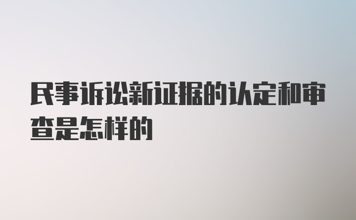 民事诉讼新证据的认定和审查是怎样的