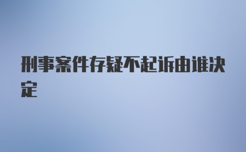 刑事案件存疑不起诉由谁决定