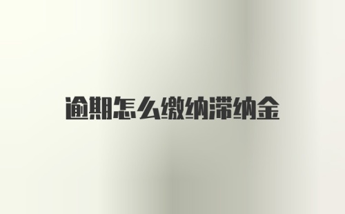 逾期怎么缴纳滞纳金