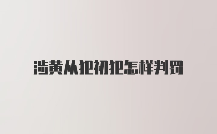 涉黄从犯初犯怎样判罚