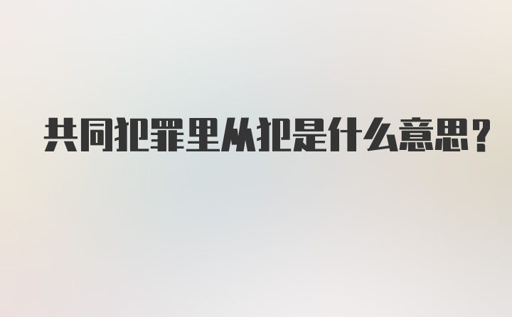 共同犯罪里从犯是什么意思？