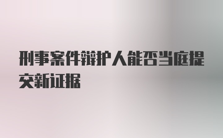 刑事案件辩护人能否当庭提交新证据