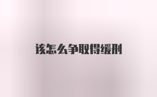 该怎么争取得缓刑