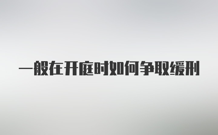 一般在开庭时如何争取缓刑